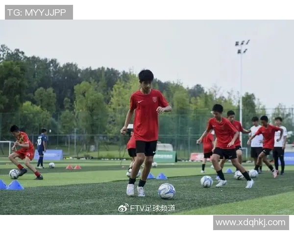 成都足球队的个人能力提升与团队协作的完美结合探讨