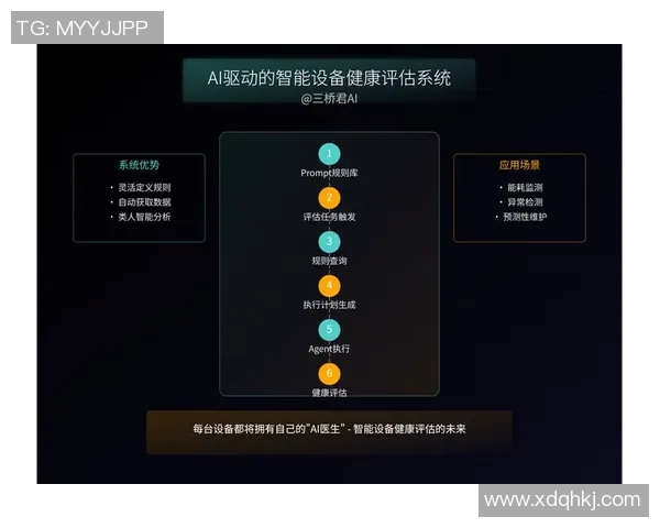 深圳网球队运营分析：成功经验与面临挑战的全面探讨