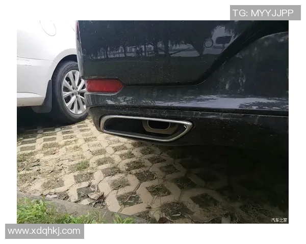 科学攀岩中的团队协作训练策略与实践探索 科学攀岩中的团队协作训练策略与实践探索