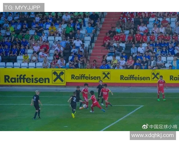 奥地利与德国精彩对决录像回放全程分析与精彩瞬间分享