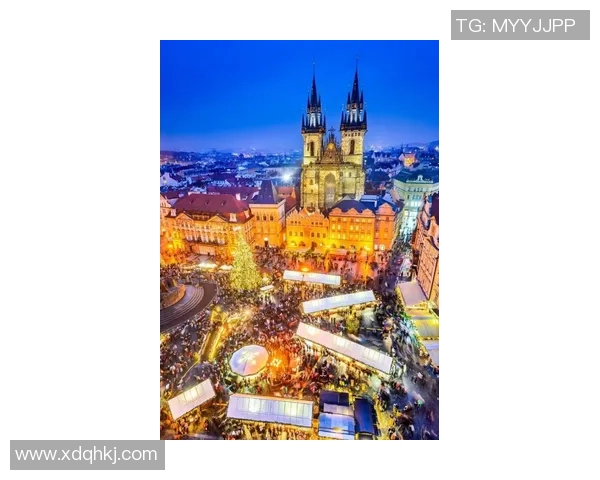 布莱克尼的魅力探索：揭示这座城市的历史与文化之美