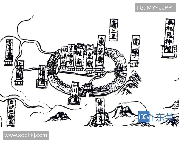 弗格的崛起与影响力探讨：从历史到现代的全景分析与思考