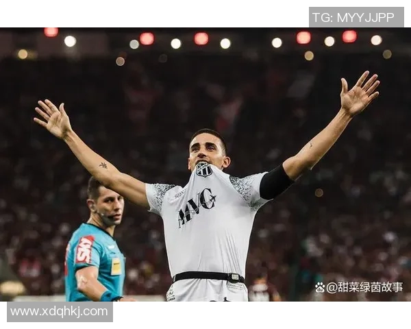 博塔弗戈与巴球队对决精彩瞬间回顾与赛后分析